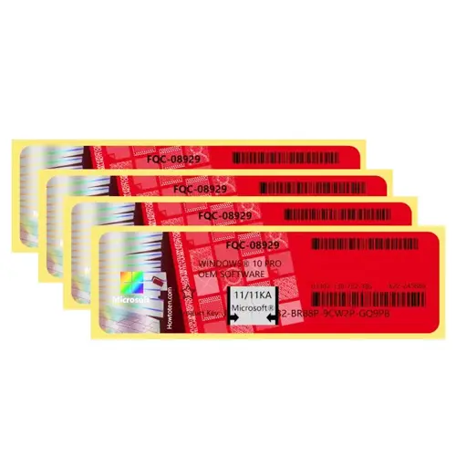 Win 10/11 Pro Code